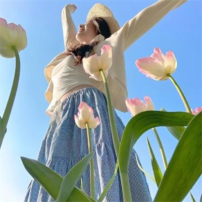 美国空军精英：雷鸟飞行表演队